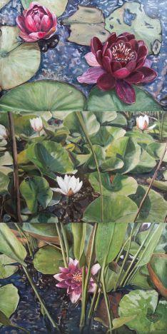 Water Lilies