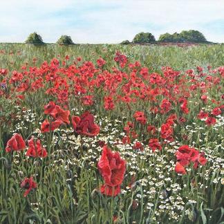 Poppy Field (Acrylic)