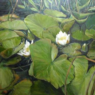 Water Lillies (Acrylic)